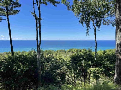 /international/us/6360-trillium-trail-harbor-springs-mi-110093328781/