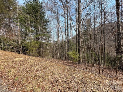 /international/us/wood-stone-drive-hendersonville-nc-110106211796/