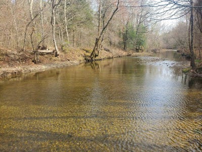 /international/us/kates-creek-road-oden-ar-110108855425/