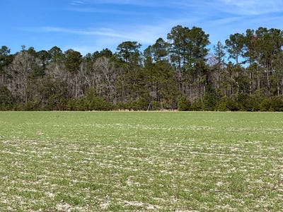 /international/us/6005-old-salkehatchie-rd-early-branch-sc-110100969910/