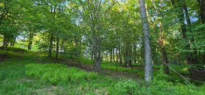 /international/us/w-shore-rd-lot-1-35-swan-lake-ny-110109407534/