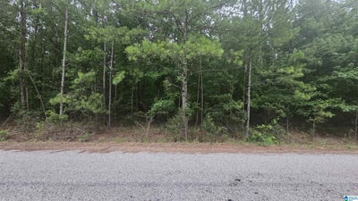 /international/us/470-county-road-518-selma-al-110100813103/