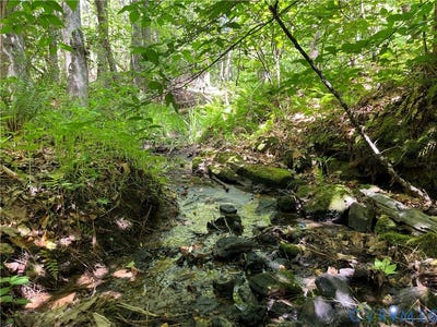 /international/us/youngstown-road-goochland-va-110104599009/