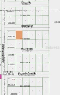 /international/us/103-nocatee-drive-florahome-fl-110078744230/