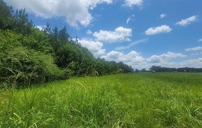 /international/us/0-hwy-280-harpersville-al-110105526144/
