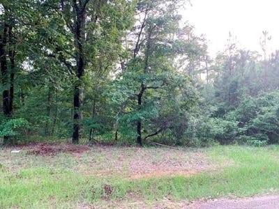 /international/us/6-33-acres-ridgeview-laticana-camden-ar-110087213171/