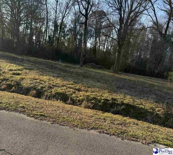 /international/us/1121-dogwood-st-turbeville-sc-110097657160/?lang=zh-tw