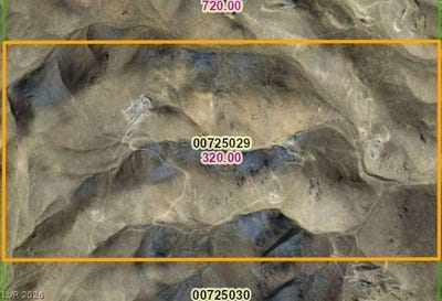 /international/us/battle-mountain-nv-110106847017/
