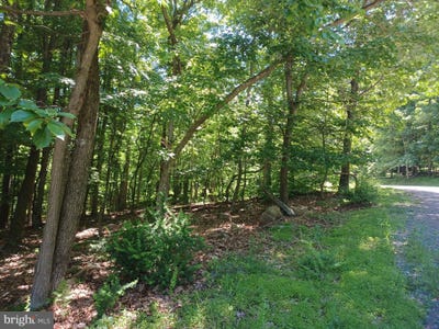 /international/us/lot-40-wild-apple-lane-paw-paw-wv-110092368450/?lang=zh-cn