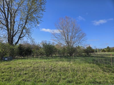 /international/us/12a66-mckinley-apple-river-il-110099484792/