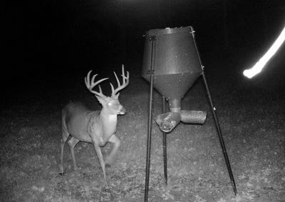 /international/us/0-ky-hwy-1952-columbia-ky-110099179457/