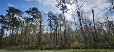 /international/us/tract-a-4-reinninger-rd-denham-springs-la-110106231952/