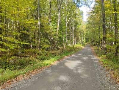 /international/us/banning-road-putney-vt-110099799678/