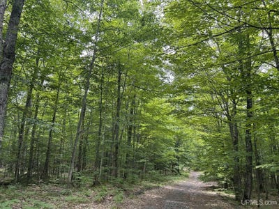 /international/us/tbd-rova-160-acres-atlantic-mine-mi-110101075004/?lang=zh-tw