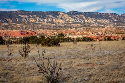 /international/us/3631-a-state-rd-96-youngsville-nm-110099246237/