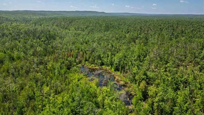 /international/us/1133-w-thumb-lake-vanderbilt-mi-110097197663/
