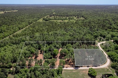 /international/us/6077-county-road-4200-pennington-tx-110105256683/