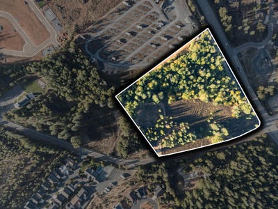 /international/us/laurel-road-cave-junction-or-110106035253/