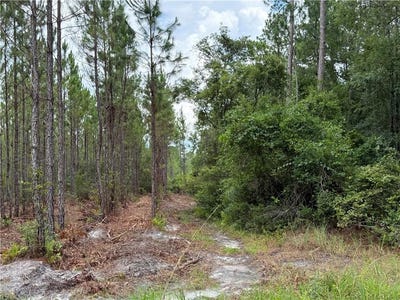 /international/us/0-lot-1-corbitt-road-manor-ga-110101178349/