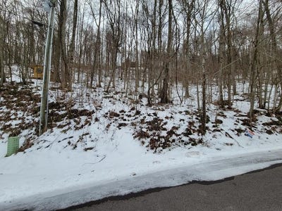 /international/us/200-village-ln-lot-3a-waynesville-nc-110120516814/