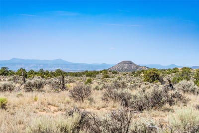 /international/us/60-acres-near-39524-hwy-285-ojo-caliente-nm-110101477985/?lang=de