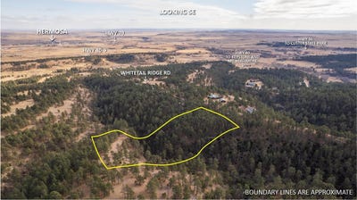 /international/us/tbd-white-tail-ridge-road-hermosa-sd-110105050442/