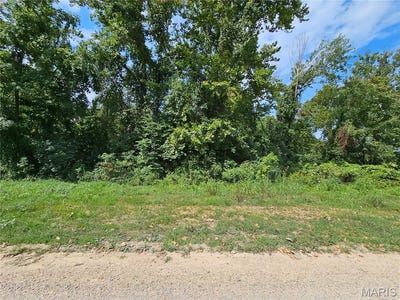 /international/us/lot-1-2-ext-deer-run-plat-5-van-buren-mo-110101716390/