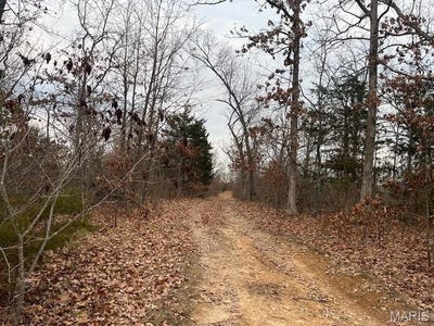 /international/us/0-125-87ac-tract-a-2-clear-creek-road-richwoods-mo-110096218804/