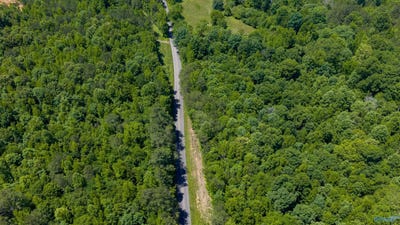 /international/us/53-acres-beason-cove-road-steele-al-110108173805/