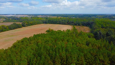 /international/us/0-county-road-33-headland-al-110090437699/?lang=zh-cn