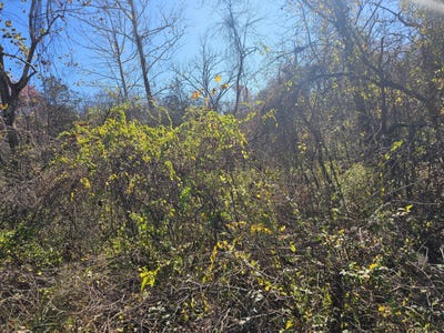 /international/us/000-spruce-avenue-merriam-woods-mo-110096151944/