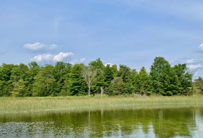 /international/us/805-guenther-ridge-gaylord-mi-110070396810/