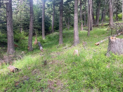 /international/us/tram-ln-wallowalake-or-110106465969/