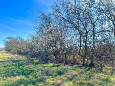 /international/us/322-cr-3160-valley-mills-tx-110103261810/