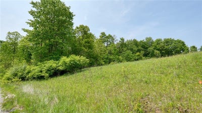 /international/us/63580-wintergreen-road-lore-city-oh-110084710953/?lang=en