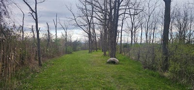 /international/us/7500-county-road-131-ovid-ny-110107698492/