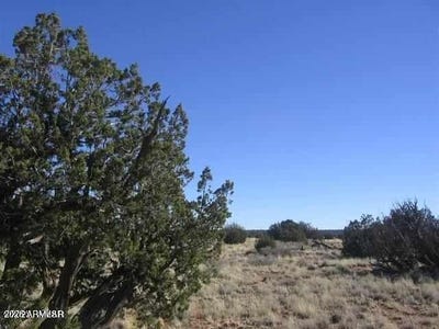 /international/us/chevelon-canyon-ranch-lot-537-heber-az-110110349866/