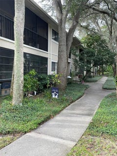 /international/us/6010-laketree-lane-temple-terrace-fl-110088840400/