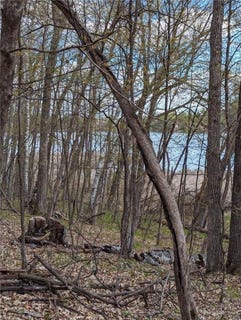 /international/us/tbd-paradise-drive-fawn-lake-twp-mn-110107465410/