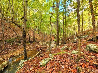 /international/us/88-buffalo-mountain-road-talihina-ok-110103010259/