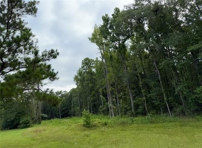 /international/us/na-lee-road-117-opelika-al-110101041459/?lang=en
