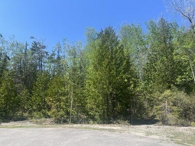 /international/us/tiptop-court-w-lot-138-presque-isle-mi-110108438848/