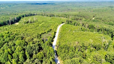 /international/us/0-highway-13-lynn-al-110100945072/
