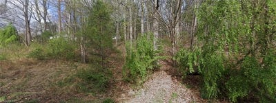 /international/us/laurel-mountain-road-north-wilkesboro-nc-110108955381/