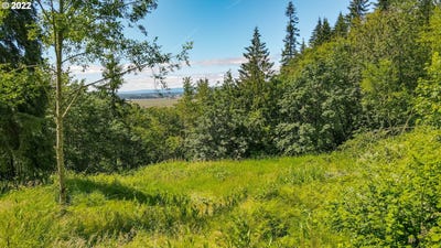 /international/us/columbia-view-dr-woodland-wa-110077817345/