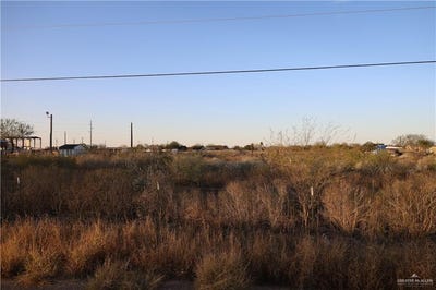 /international/us/000-pino-street-penitas-tx-110096915830/?lang=en