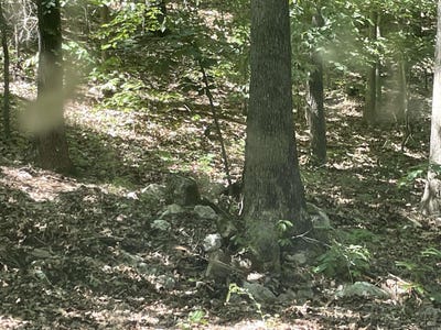 /international/us/141-duncan-ln-poughkeepsie-ar-110101645239/