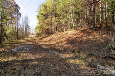 /international/us/99999-big-raven-lane-saluda-nc-110095869191/