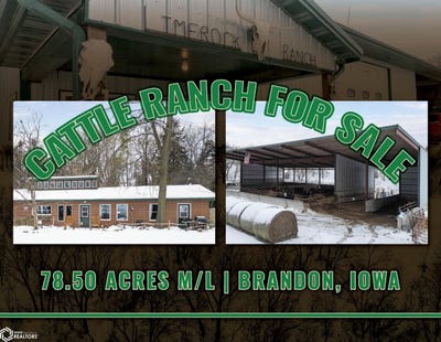 /international/us/3251-brandon-diagonal-boulevard-brandon-ia-110108193843/