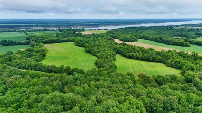 /international/us/gillahan-road-ledbetter-ky-110119331914/